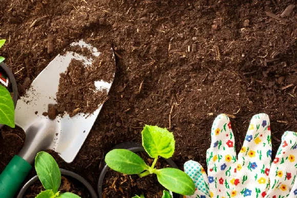 Gartenerde, Schaufel und junge Pflanzen